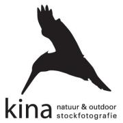 Kina natuur & outdoor stockfotografie - Hilversum, Netherlands