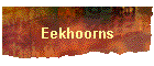 Eekhoorns