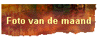 Foto van de maand