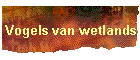 Vogels van wetlands
