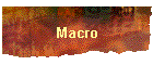 Macro
