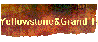 Yellowstone&Grand Teton