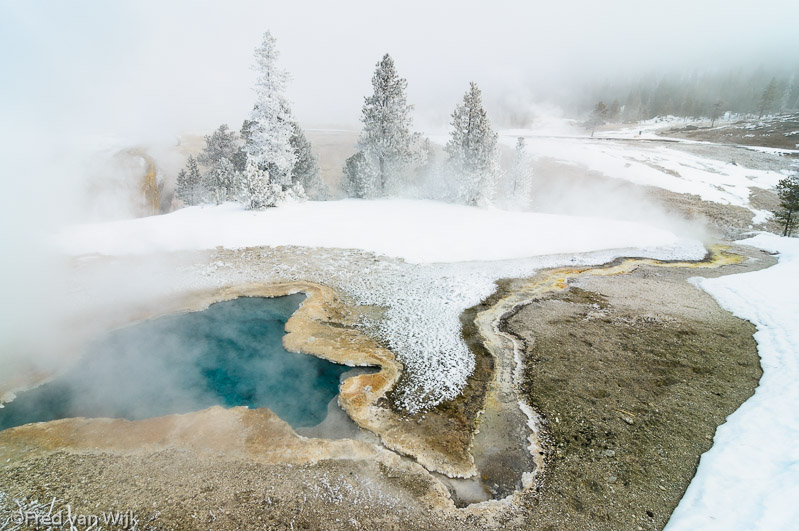 Geyser and hot springs in winter, Yellowstone